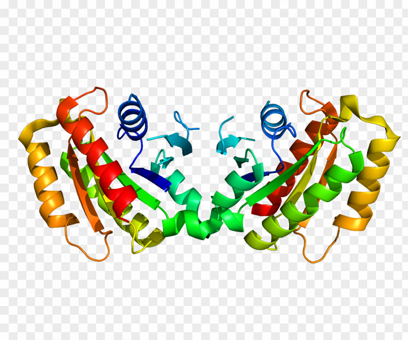 LRRK2 Parkinson's Disease Protein Leucine-rich Repeat Amino Acid PNG