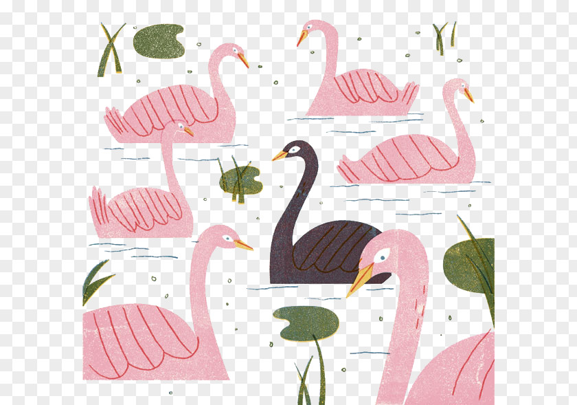 Painted Swan Pattern Cygnini Behance Illustration PNG