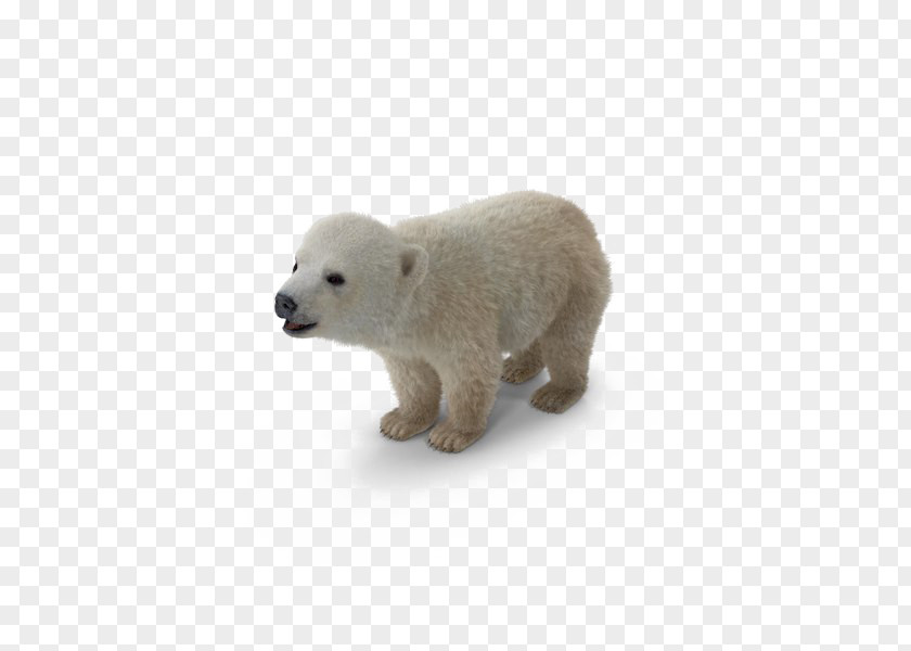 Polar Bear Mammal Image PNG