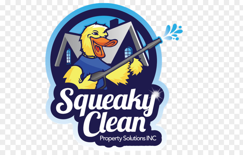 Pressure Washing Washers Roof Cleaning Squeaky Clean Property Solutions Exterior PNG