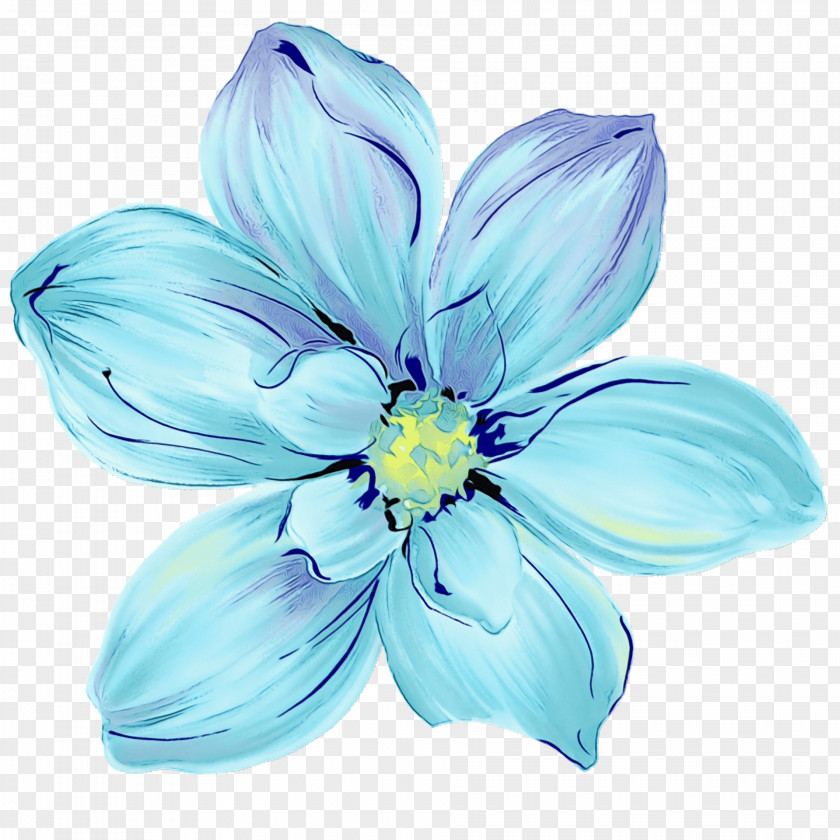 Cut Flowers Herbaceous Plant Petal Blue Flower Flowering PNG