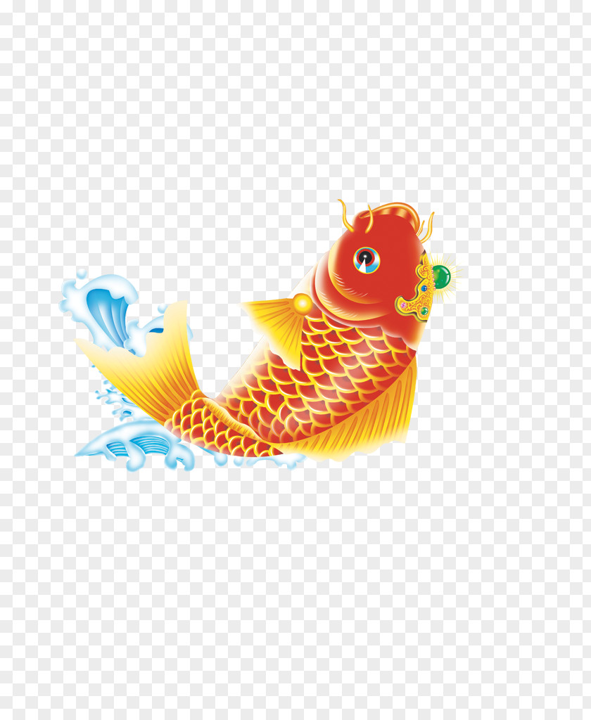 Fish Koi Carassius Auratus Carp PNG