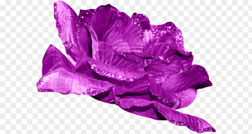 Purple Rose Flower Beach Petal PNG