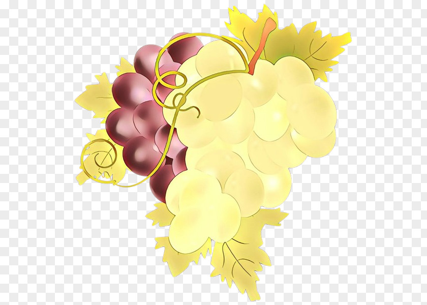 Seedless Fruit Grape Grapevine Family Yellow Leaf Vitis PNG