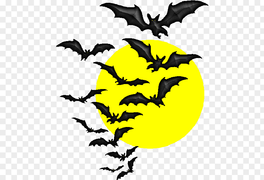 Symbol Yellow Halloween Cartoon Background PNG