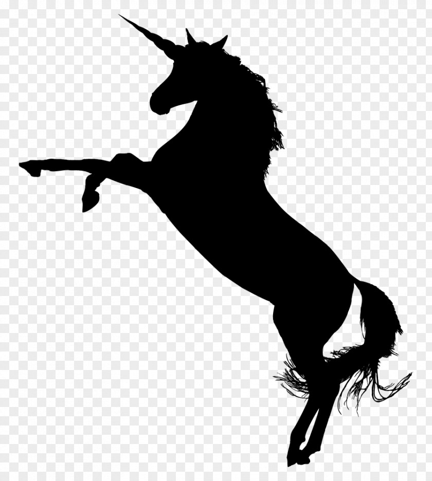 Unicorn American Paint Horse Arabian Silhouette Clip Art PNG
