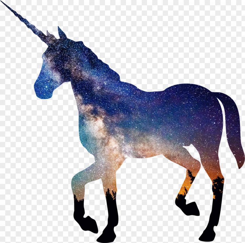 Unicorn Tenor Clip Art PNG