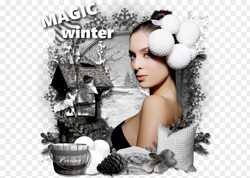 Winter Tutorial Hair Coloring Black Beauty.m PNG