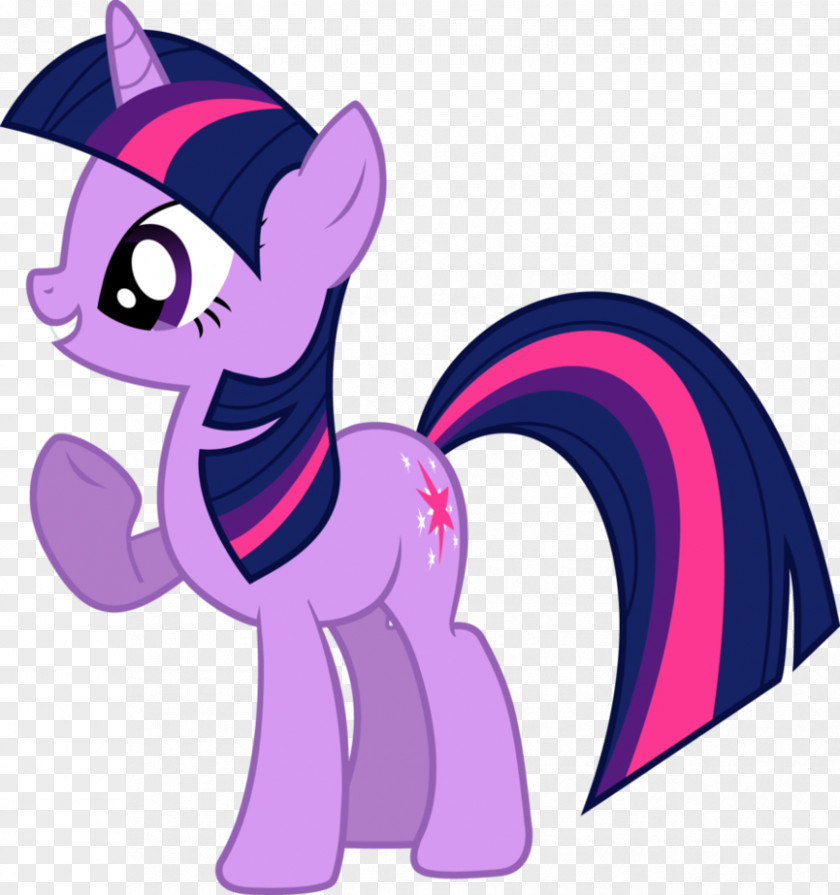 14th February Twilight Sparkle Rainbow Dash Pinkie Pie Rarity Pony PNG