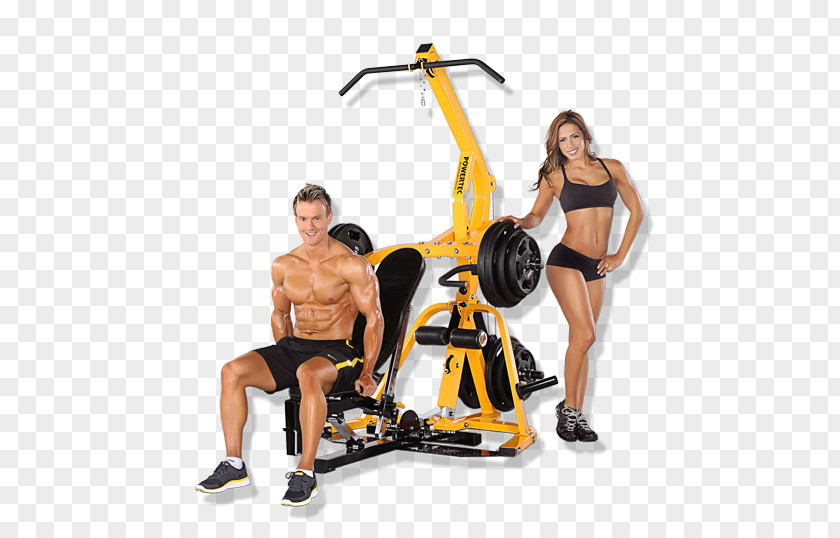 Bodybuilding Weight Training Exercise Equipment Physical Fitness Centre PNG