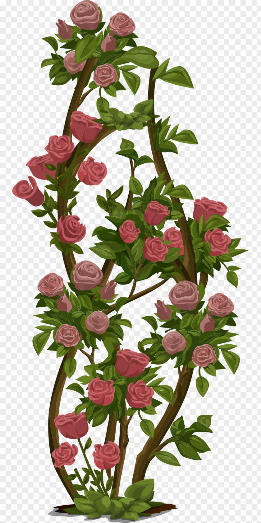 Bush Rose Shrub Clip Art PNG