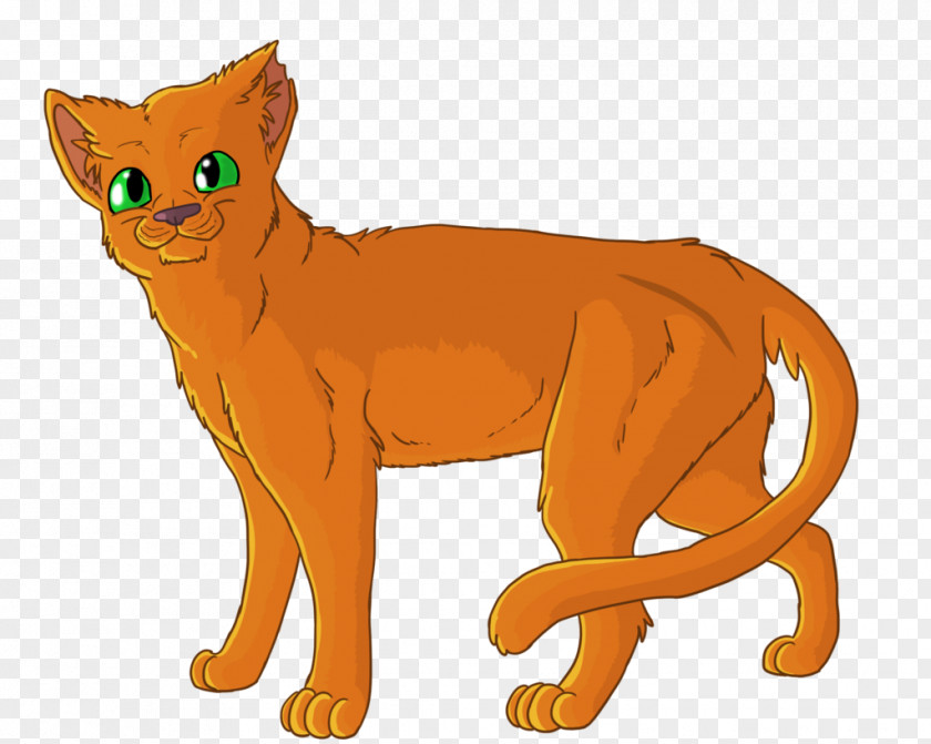 Cat Whiskers Firestar Warriors Lion PNG