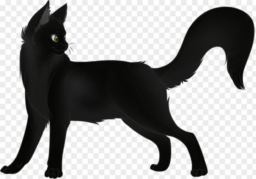 Dog Black Cat Bombay Manx Domestic Short-haired Whiskers PNG