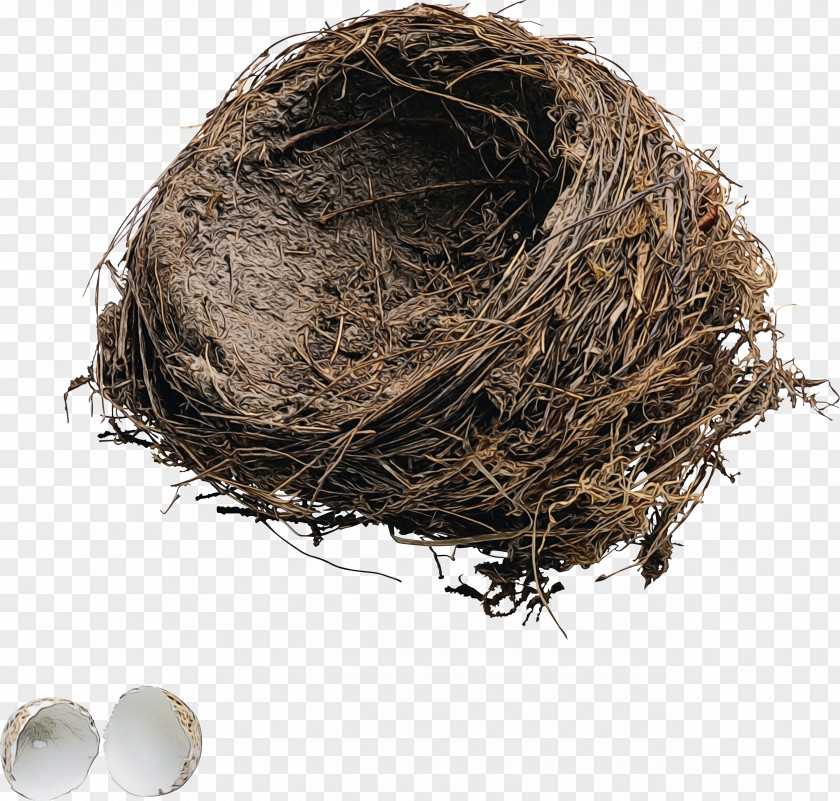 Egg Twig PNG