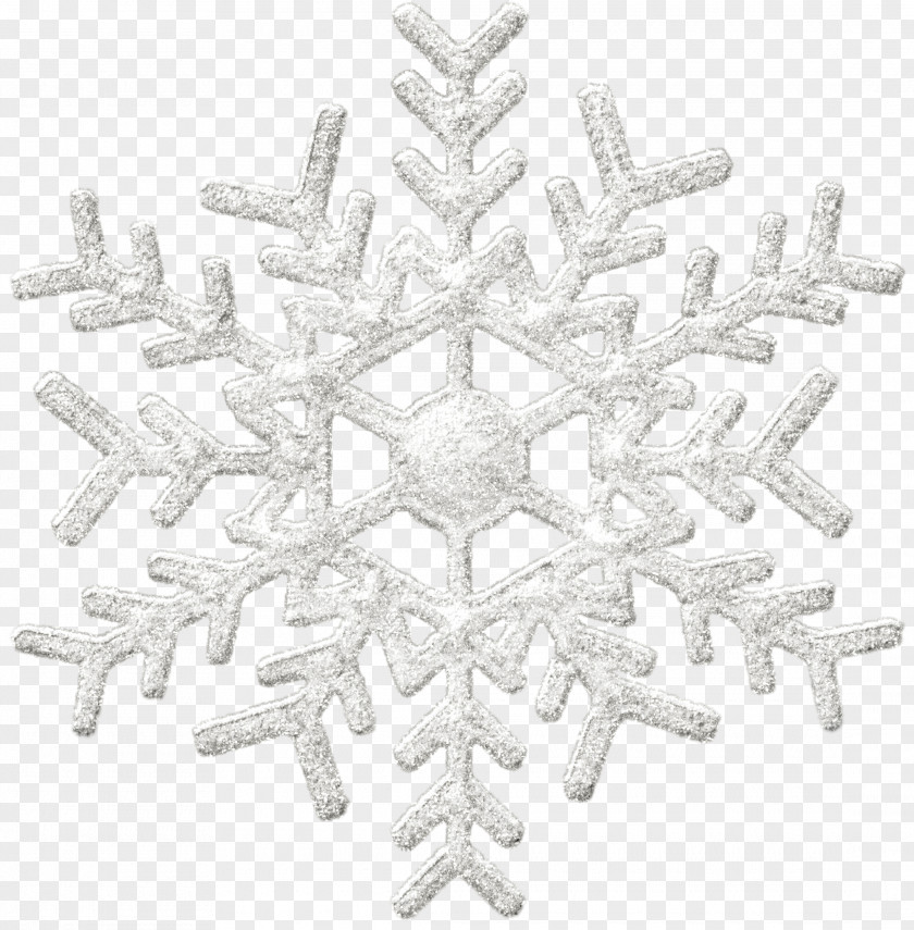 Snowflake Winter Light PNG