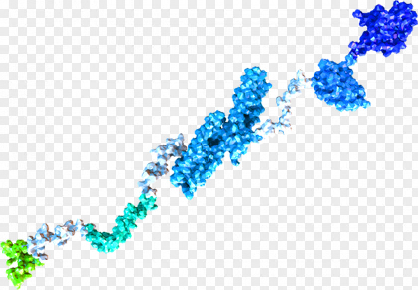 Amyloid Precursor Protein Beta-secretase 1 Alzheimer's Disease Amgen PNG