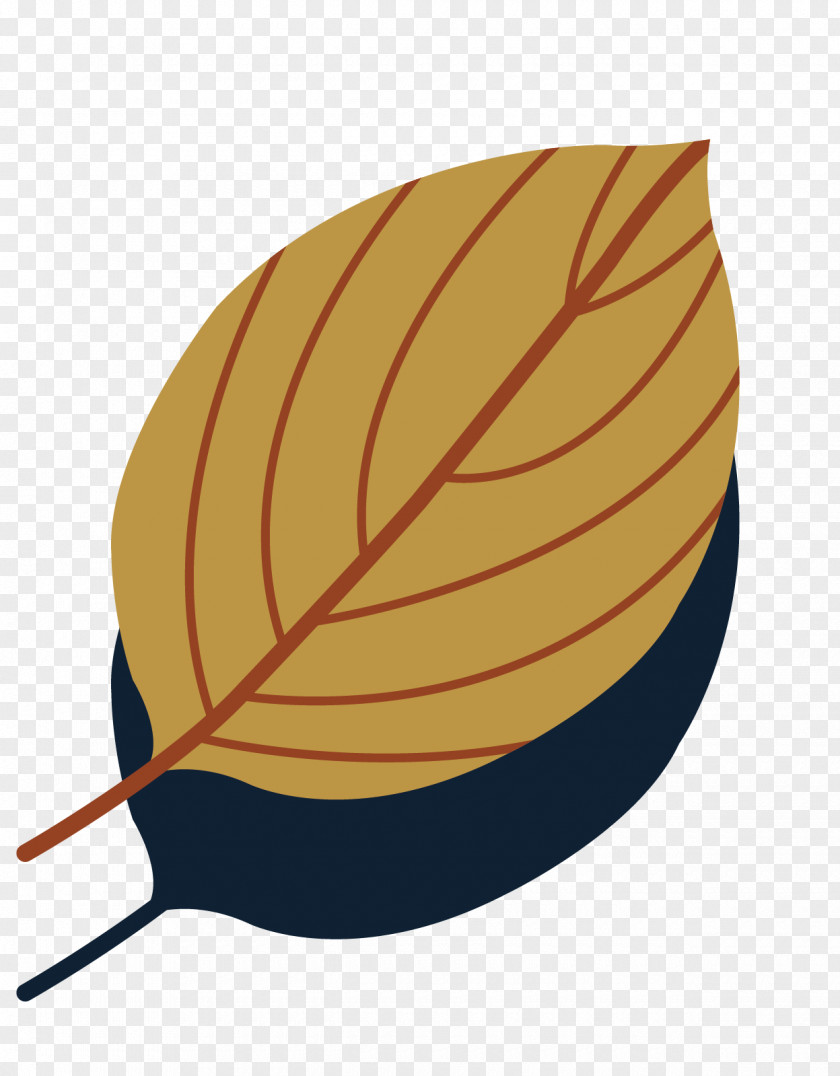 Autumn Leaves Collection Vector Material Leaf Euclidean Clip Art PNG