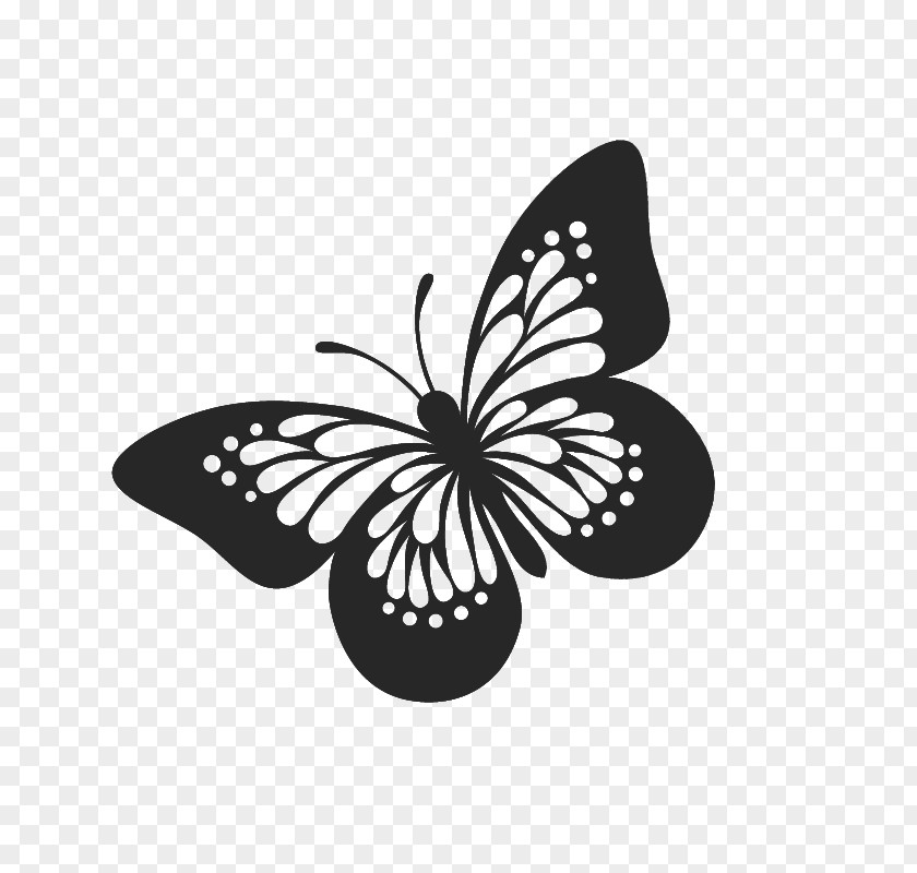 Butterfly Clip Art Vector Graphics Free Content PNG