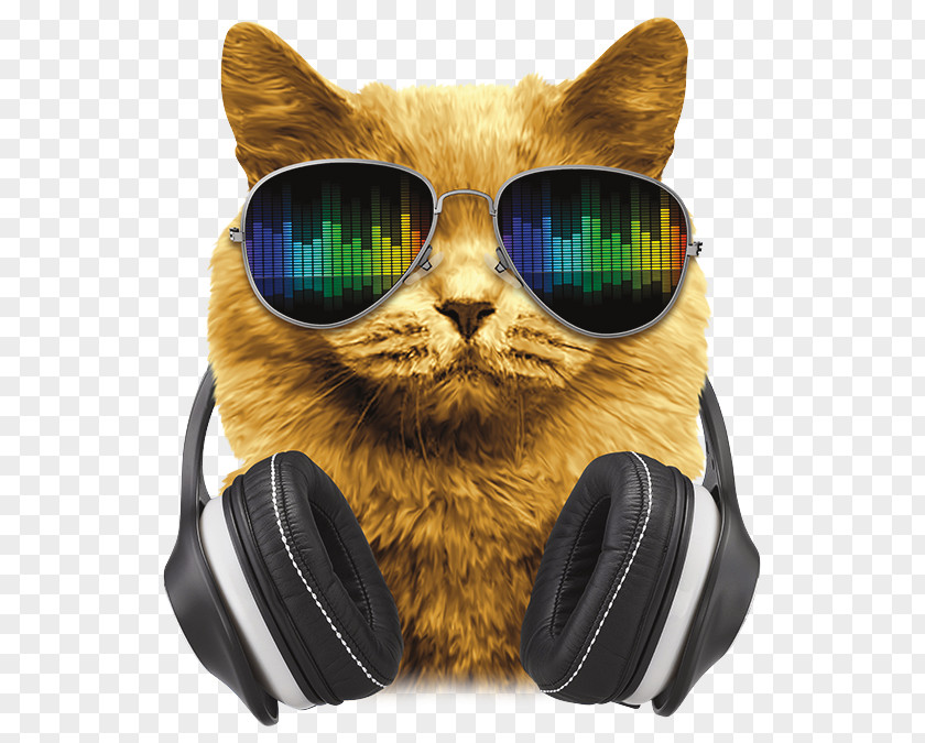 Dj Headphones Axent Wear Cat Ear Denon Whiskers PNG