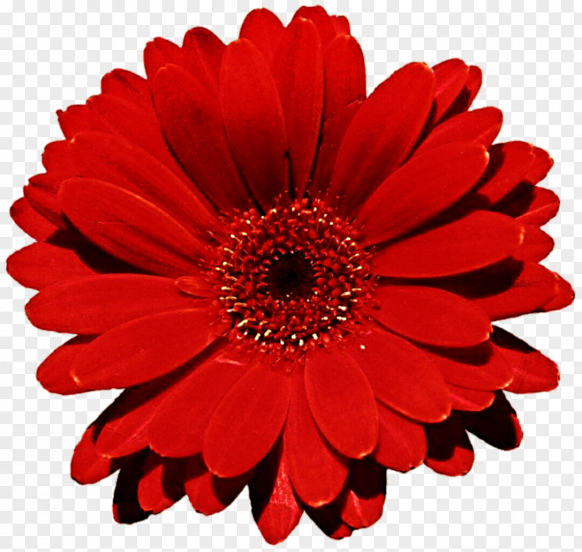 Gerbera Artificial Flower Transvaal Daisy Floral Design Bouquet PNG