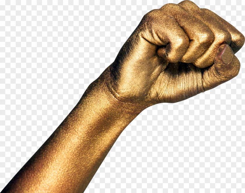 Hand Upper Limb Fist PNG limb , hand clipart PNG