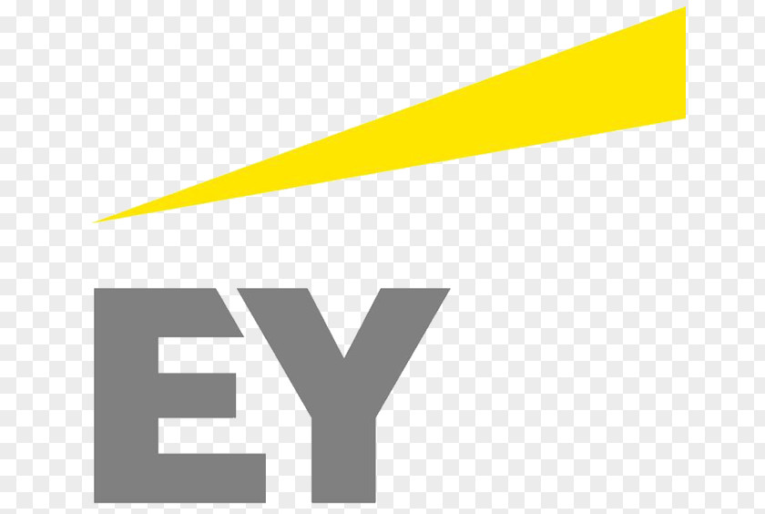 Asean Symbol Logo Ernst & Young, Papua New Guinea Brand Audit Risk PNG
