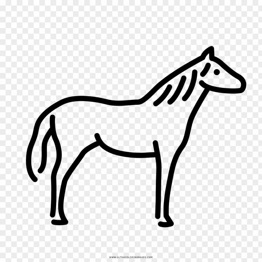 CABALLOS Drawing Gallop Arabian Horse Child PNG