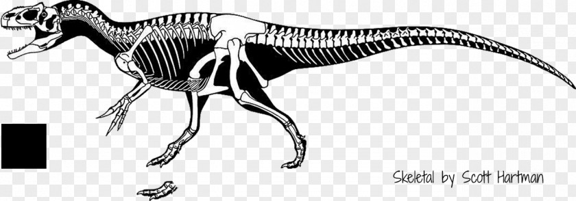 Dinosaur Torvosaurus Saurophaganax Allosaurus Herrerasaurus Tyrannosaurus PNG