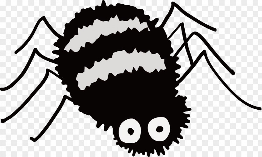 Insect Snout Spider Halloween PNG