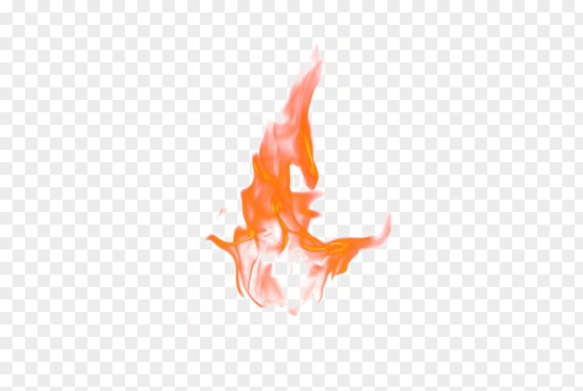 Orange Flame Fire Clip Art PNG