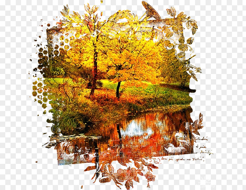 Autumn Desktop Wallpaper Digital Image PNG