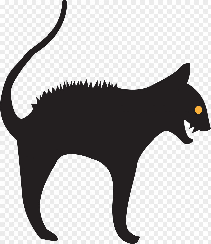 Cat Claw Whiskers Mammal Carnivora Animal PNG
