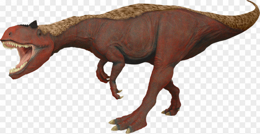 Dinosaur Allosaurus Tyrannosaurus Velociraptor Edmontosaurus Albertosaurus PNG