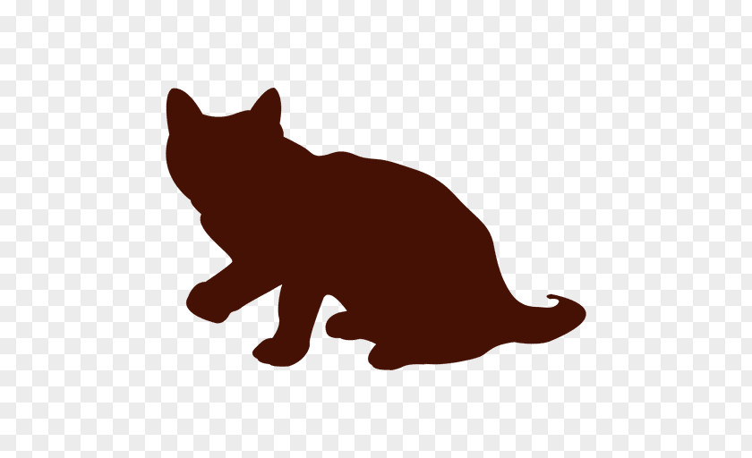 Kitten Whiskers Black Cat Wildcat PNG