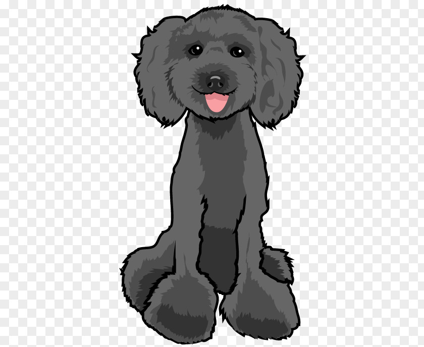 Poodle Dog Schnoodle Puppy Breed Companion PNG