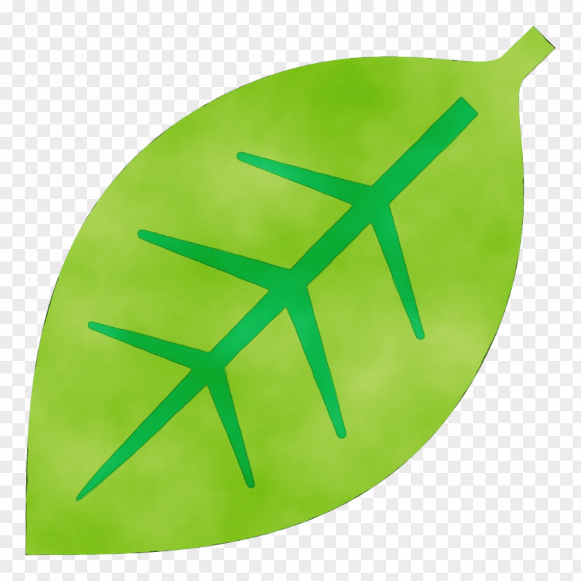 Symbol Logo Green Yellow Leaf Font PNG