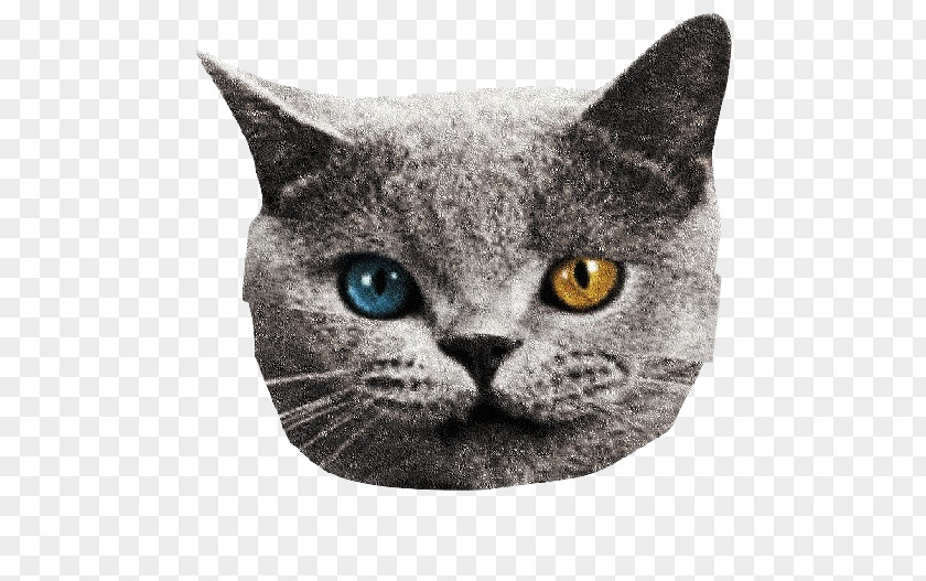 T-shirt Odd Future Wolf Tron Cat PNG