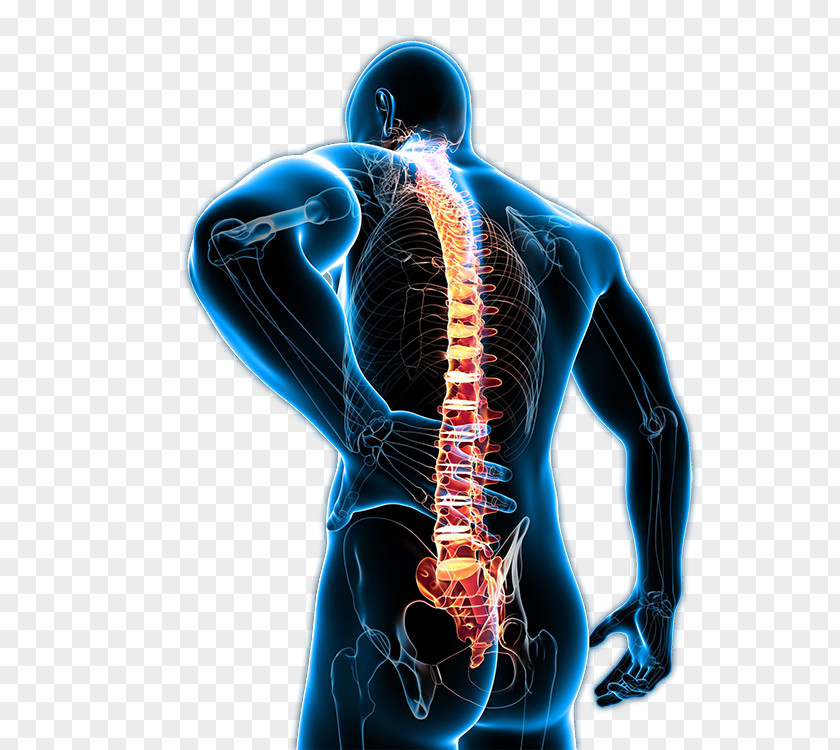 Back Pain Low Management Human Neck Chronic PNG