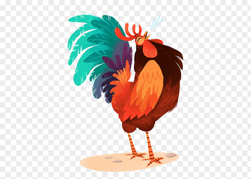 Chicken Drawing Rooster Model Sheet Illustration PNG