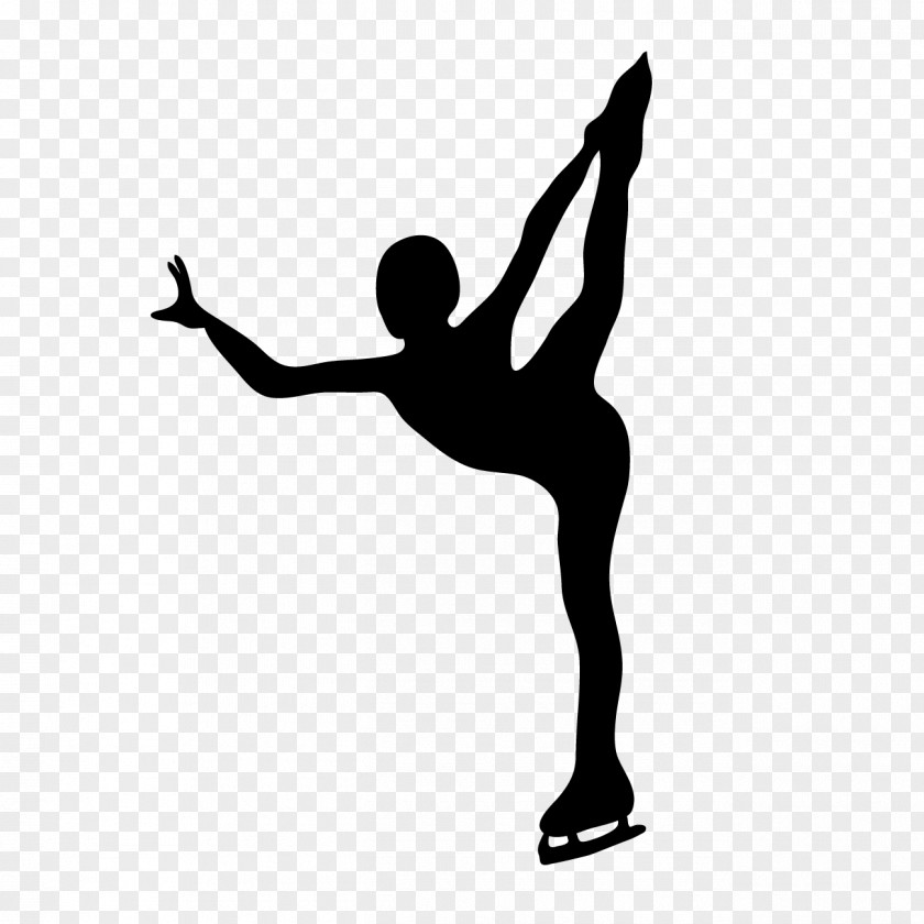 Figure Skating 2018 Winter Olympics Pyeongchang County Olympic Games Athlete PNG