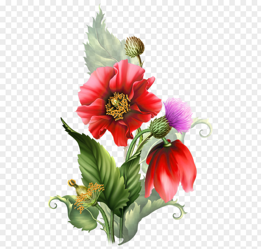 Flower Image Drawing Painting Centerblog PNG