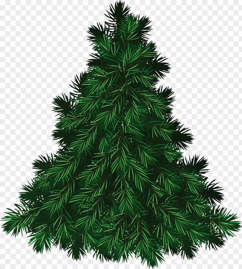 Green Fir-tree Image The Fir-Tree Pine Balsam Fir Cedar Little Tree PNG