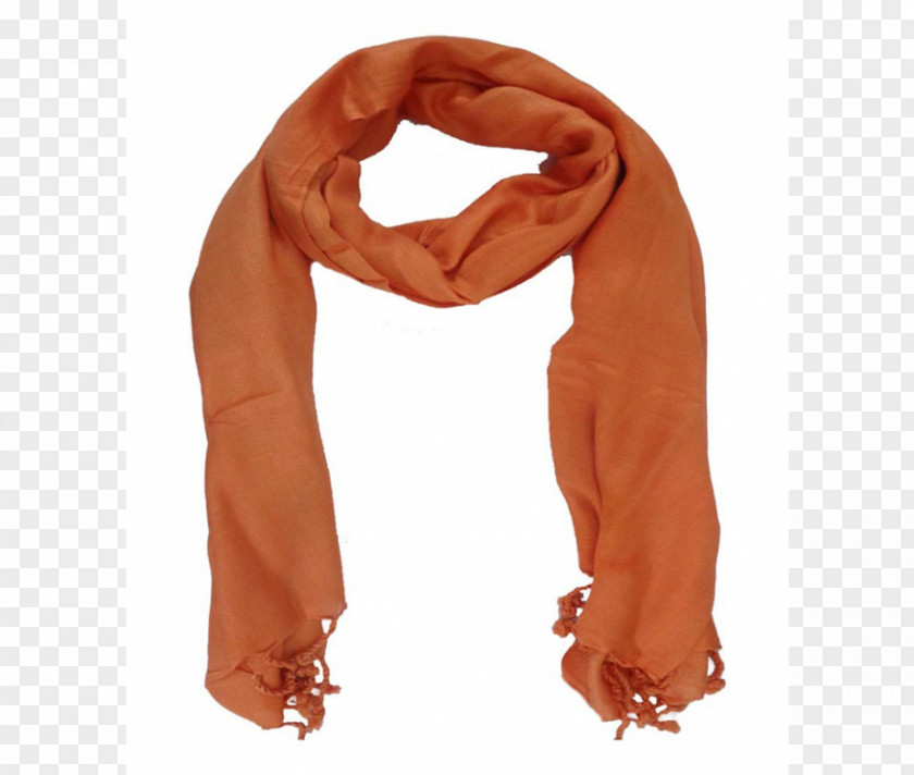 Paisely Scarf Cashmere Wool Shawl Textile PNG
