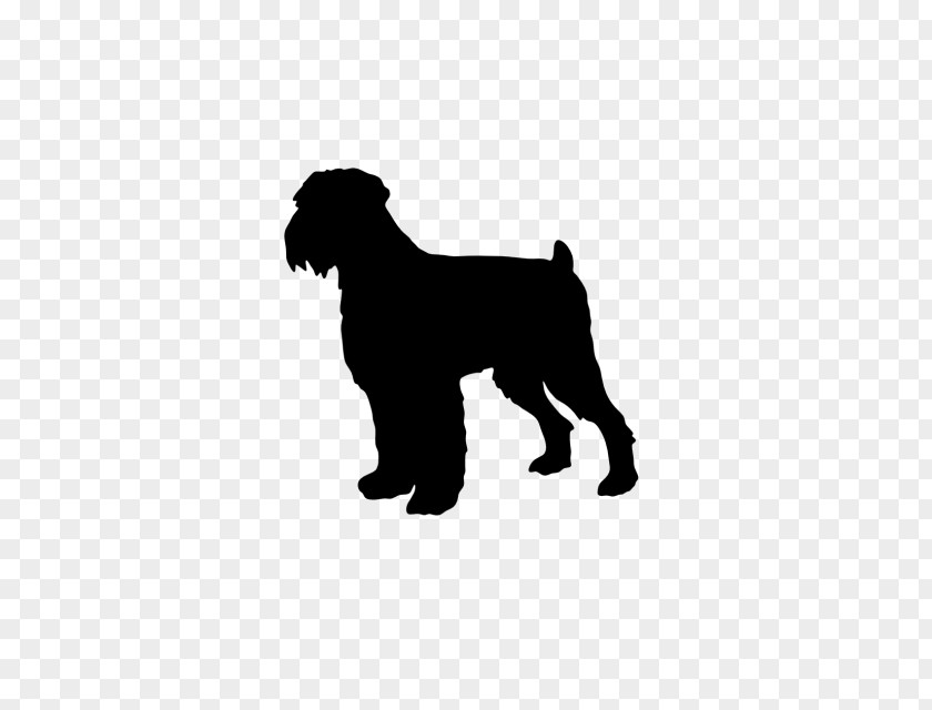 Puppy Miniature Schnauzer Affenpinscher Schnoodle Dog Breed PNG