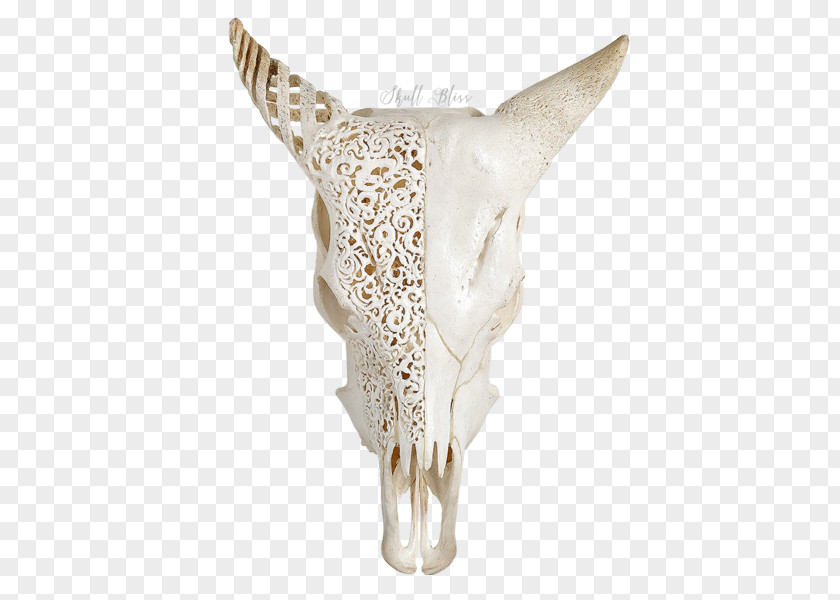 Skull PNG