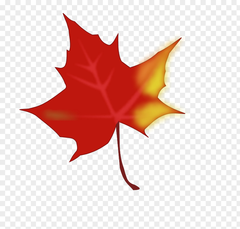 Cartoon Fall Leaf Autumn Color Red Maple Clip Art PNG