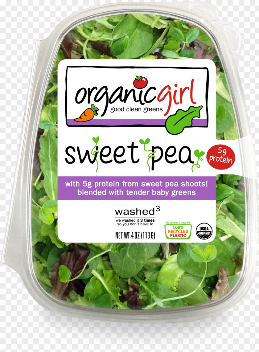 Fresh Salad Lettuce Organic Food Mesclun Leaf Vegetable PNG