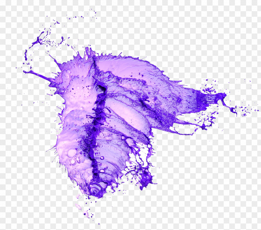 Purple Splash Water PNG