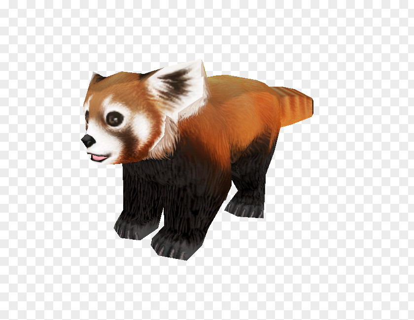 Bear Red Panda Giant Fur Snout PNG