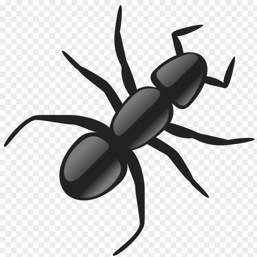 Black Widow Ant Clip Art PNG